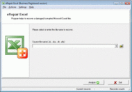 eRepair Excel screenshot